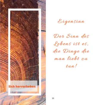 Buch - Meine ideale Bewegung von Herbert Handler