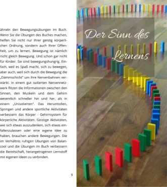 Buch - Meine ideale Bewegung von Herbert Handler