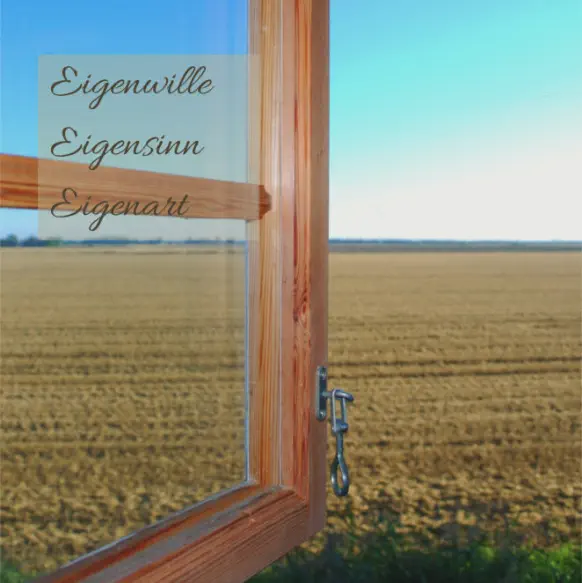 Buch - Meine ideale Bewegung von Herbert Handler