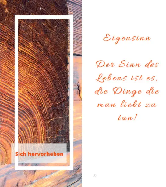 Buch - Meine ideale Bewegung von Herbert Handler