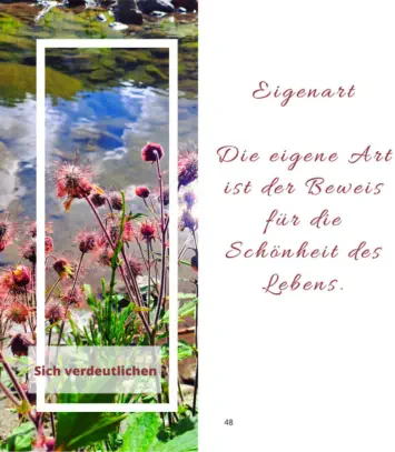 Buch - Meine ideale Bewegung von Herbert Handler