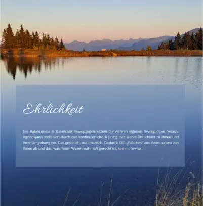 Buch - Meine ideale Bewegung von Herbert Handler