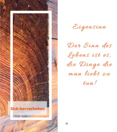 Buch - Meine ideale Bewegung von Herbert Handler