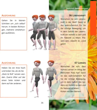 Buch - Meine ideale Bewegung von Herbert Handler