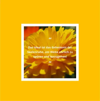 Buch - Meine ideale Bewegung von Herbert Handler